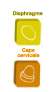 illustration du diaphragme et de la cape cervicale