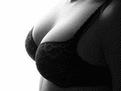 Les dessous de la s�duction