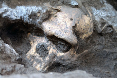 C'est en Géorgie que l'on a découvert le crâne le plus complet d'Homo erectus connu à ce jour.